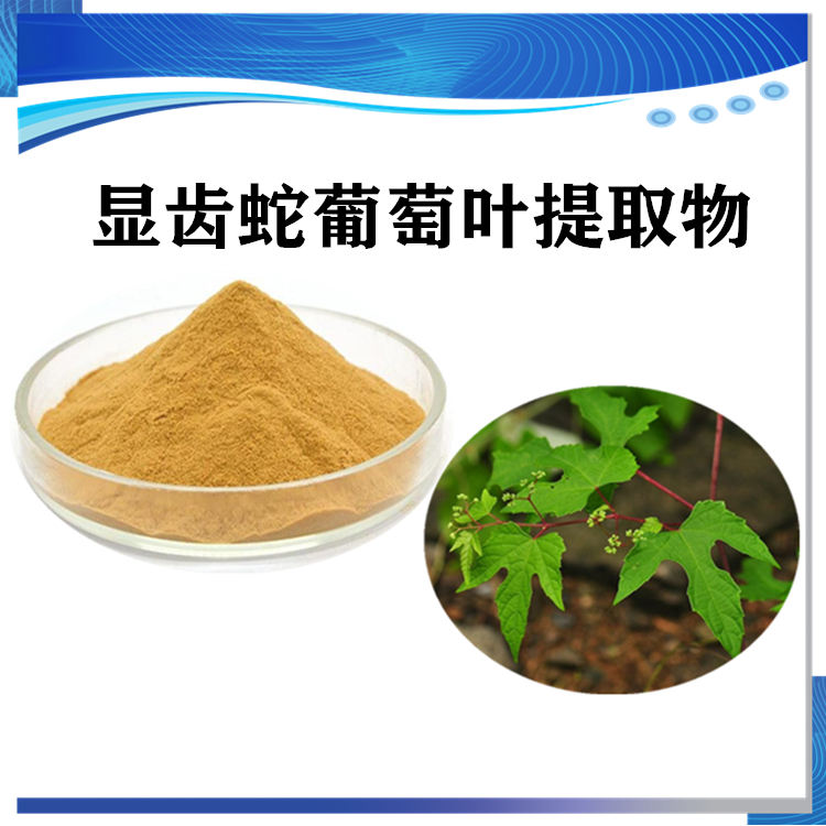 顯齒蛇葡萄葉提取物 顯齒蛇葡萄葉粉 新資源食品_其他產(chǎn)品.