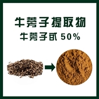 牛蒡子提取物牛蒡子甙50 純植物提取物 歡迎選購