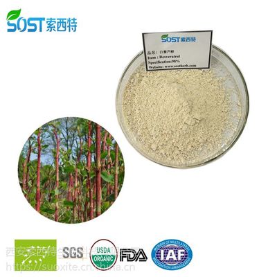 白藜蘆醇 虎杖黃酮 植物提取物價格 西安索西特生物規格白藜蘆醇98%