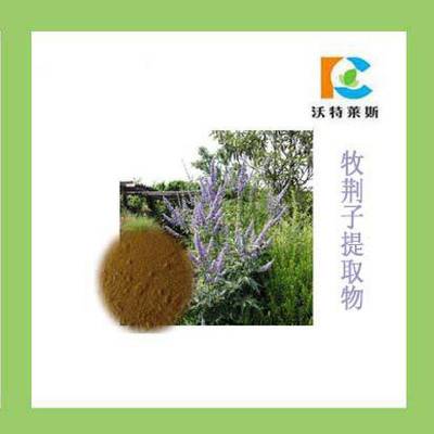 牡荊子提取物 牡荊實提取物 1公斤起訂10:1