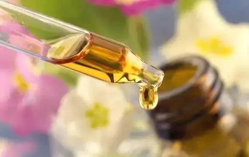 拒絕皮膚干燥飄雪，養(yǎng)生堂白樺樹汁身體乳要你好看